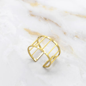 Anillo Oro Jaula